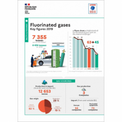 Fluorinated gas : Key figures 2019