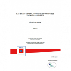 Gas smart meters, households' practices and energy savings