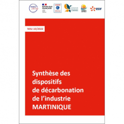 Synthèse des dispositifs de décarbonation industrie - Martinique