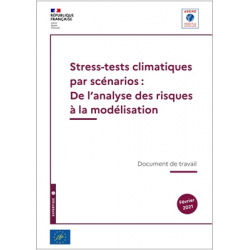 Stress-tests climatiques par scénarios : de l'analyse des risques à la modélisation