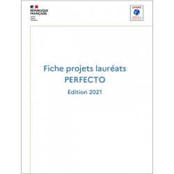 Résumé des projets lauréats de l'édition PERFECTO 2021