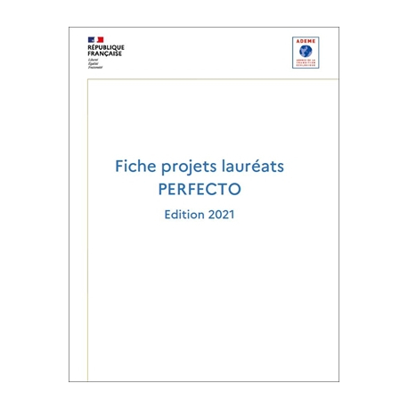 Résumé des projets lauréats de l'édition PERFECTO 2021