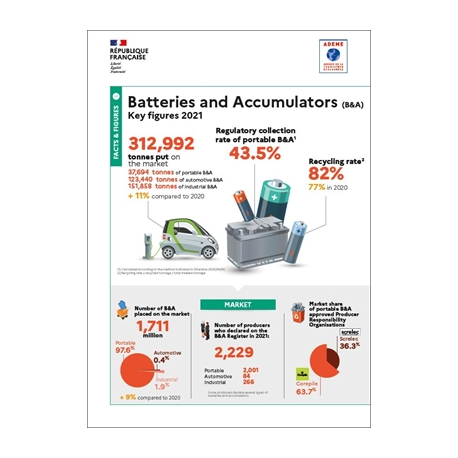 Batteries and accumulators: key figures 2021 (infographic)