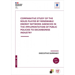 Study on the role of the European energy network in the implementation of industry decarbonisation public policies