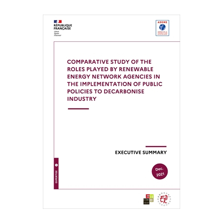 Study on the role of the European energy network in the implementation of industry decarbonisation public policies