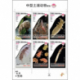 Chinese version of 7 Happy Families - The Hidden Life of Soils