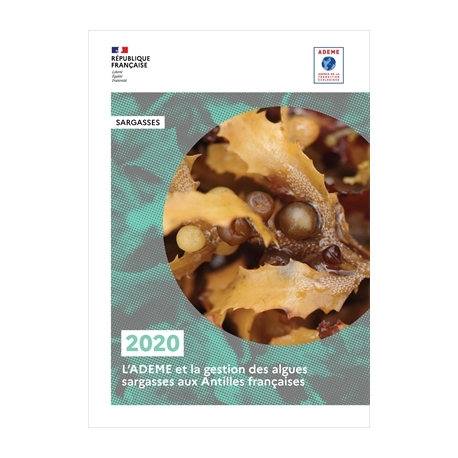 L'ADEME et la gestion des algues sargasses aux Antilles françaises en 2020