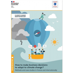 How to make business decisions to adapt to climate change ?