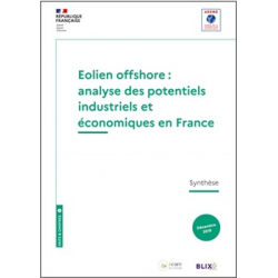 Eolien offshore : analyse des potentiels industriels et économiques en France