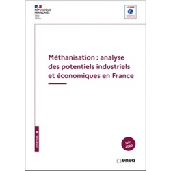Méthanisation : analyse des potentiels industriels et économiques en France