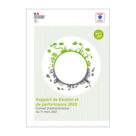 Rapport de gestion et de performance 2020