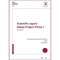 Scientific report: DIKWE phase 1