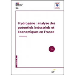 Hydrogène : analyse des potentiels industriels et économiques en France