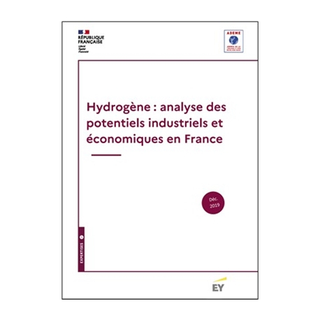 Hydrogène : analyse des potentiels industriels et économiques en France