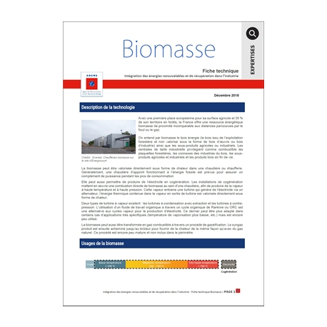 Fiche technique sur la Biomasse dans l'industrie