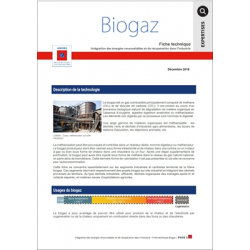 Fiche technique sur le Biogaz dans l'industrie