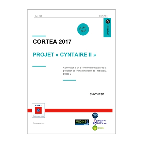 Synthèse projet CYNTAIRE II