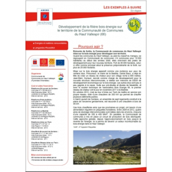 Développement de la filière bois énergie sur le territoire de la Communauté de Communes du Haut Vallespir (66)