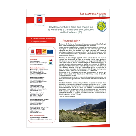 Développement de la filière bois énergie sur le territoire de la Communauté de Communes du Haut Vallespir (66)