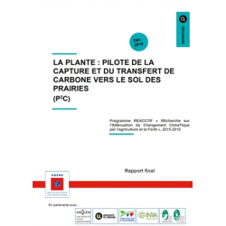 P2C, la plante : pilote de la capture et du transfert de carbone vers le sol des prairies