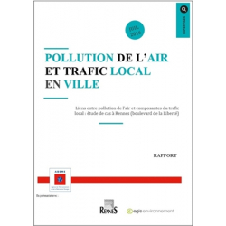 Pollution de l'air et trafic local en ville