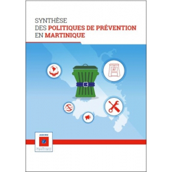 Synthèse des politiques de prévention à la Martinique