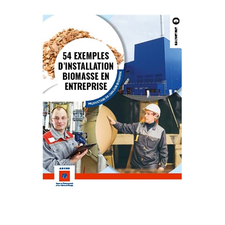 Production de chaleur biomasse : 54 exemples d'installation biomasse en entreprise