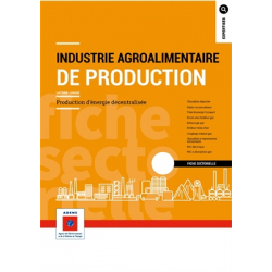 Production d'énergie décentralisée dans les process industriels : fiches sectorielles