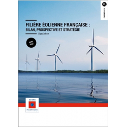 Etude sur la filière éolienne française : bilan, prospective et stratégie