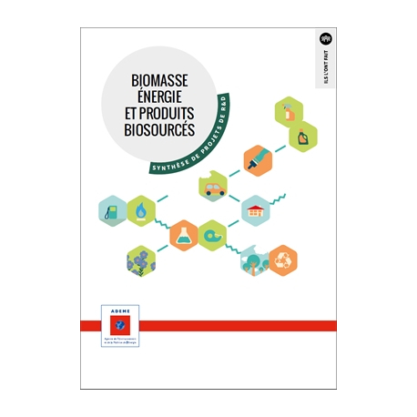 Biomasse énergie et produits biosourcés : synthèse de projets de R&D