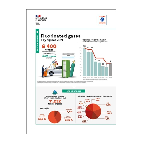 Fluorinated gas: Key figures 2021 (Infographic)