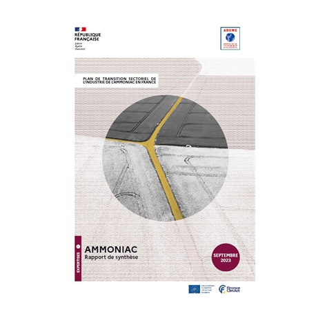 Plan de Transition Sectoriel de l'industrie de l'ammoniac en France - rapport de synthèse