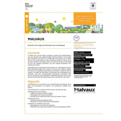 MALVAUX - Évolution d'une ligne de fabrication de contreplaqué