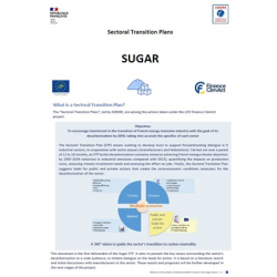 Sugar, the key issues of the decarbonisation of the sector