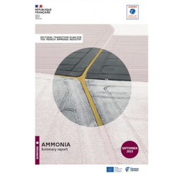 Sectoral transition plan for the french ammonia industry - summary report