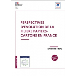 Perspectives d'évolution de la filière papiers-cartons en France