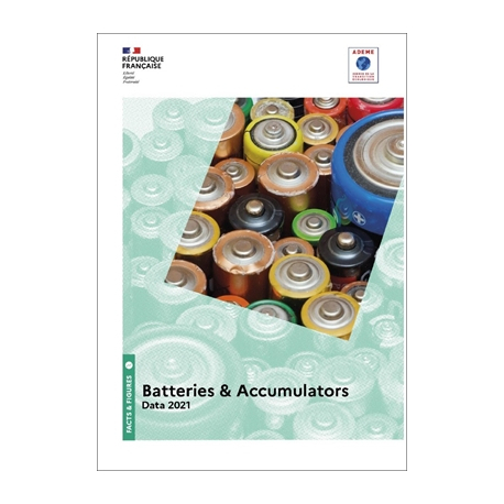 Batteries and accumulators - data 2021