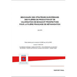 Production et valorisation de biogaz et prospectives pour la filière française de méthanisation