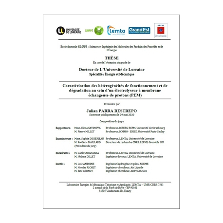 Caractérisation des hétérogénéités de fonctionnement et dégradation au sein d'un électrolyseur à membrane échangeuse de protons