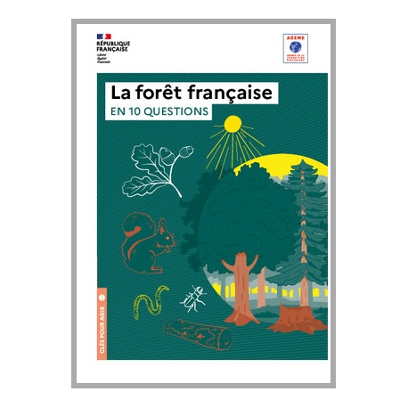 La forêt française en 10 questions