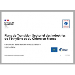 Restitution des plans de transition sectoriels de l'industrie de l'éthylène et du chlore