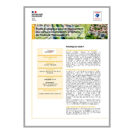 Etude stratégique pour le déploiement des carburants alternatifs à l'échelle de Toulouse Métropole (31)