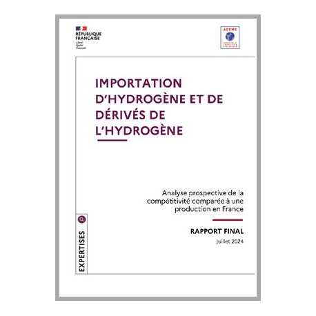 Importation d'hydrogène et de dérivés de l'hydrogène