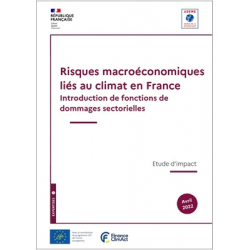 Risques macroéconomiques liés au climat en France, Introduction de fonctions de dommages sectorielles