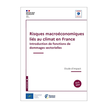 Risques macroéconomiques liés au climat en France, Introduction de fonctions de dommages sectorielles