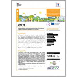 CBF 22 - Comportements structurels des essences de bois Feuillus en vue de leur meilleure intégration aux Eurocodes 5