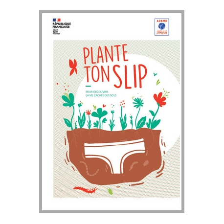 Plante ton slip