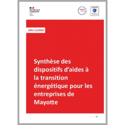 Synthèse des dispositifs d'aides à la transition énergétique pour les entreprises de Mayotte