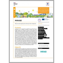 MIRAGE - Mesure du stress hydrique des arbres par Lidar multispectral