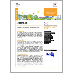 CAMERON - Processus de fabrication agile, flexible et automatisée